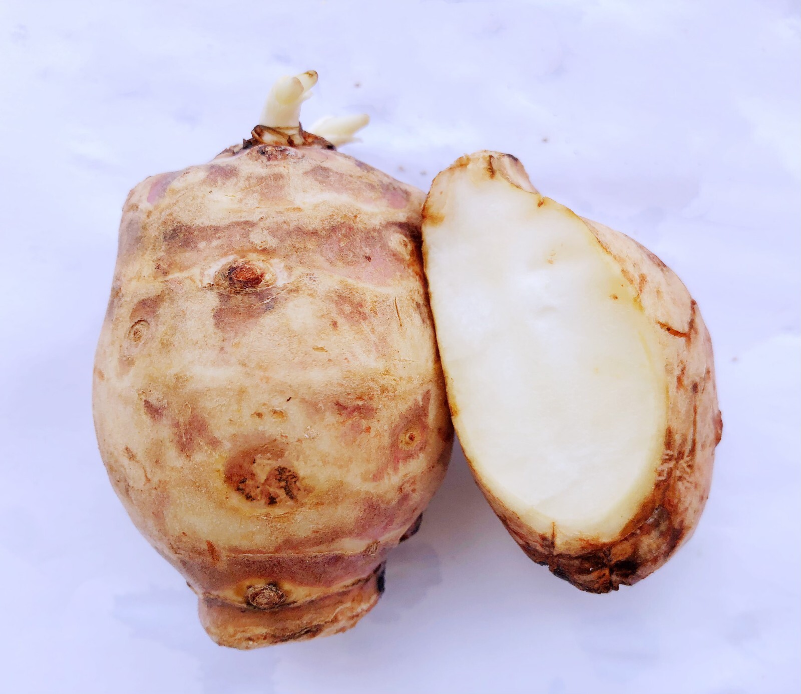 4lbs Jerusalem Artichokes AKA Sunchokes; Sunroot; Wild Sunflower