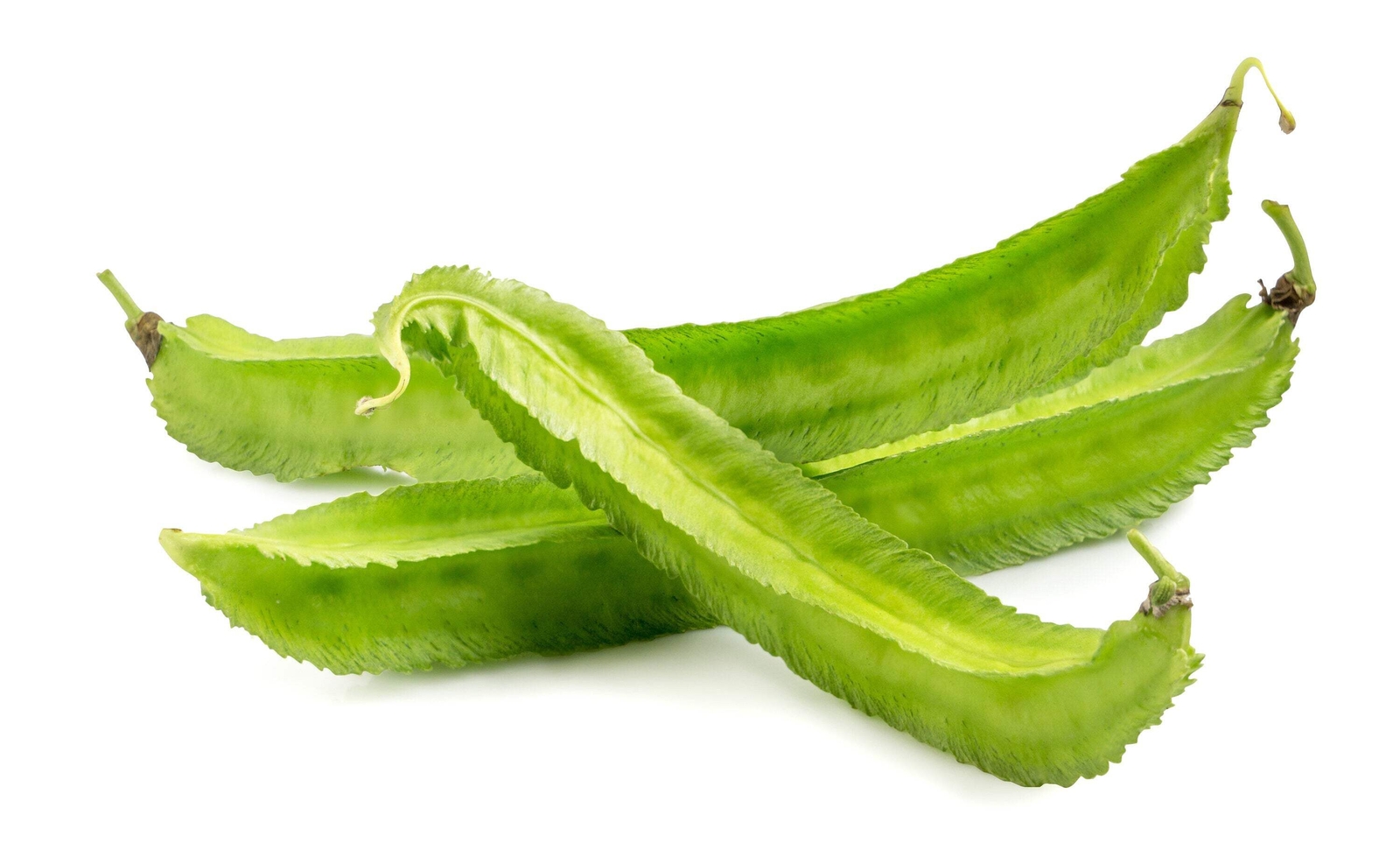 50 ASPARAGUS PEA Winged Pea Lotus Tetragonolobus Red Flower Vegetable Seeds