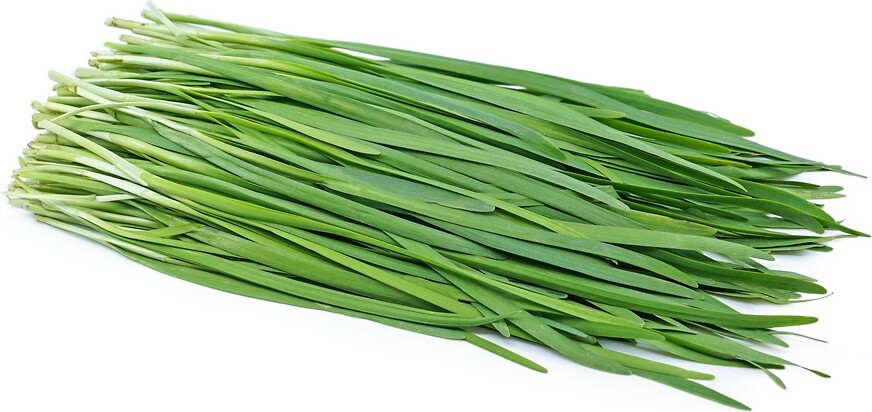 Chinese Garlic Chives 150 Seeds from USA