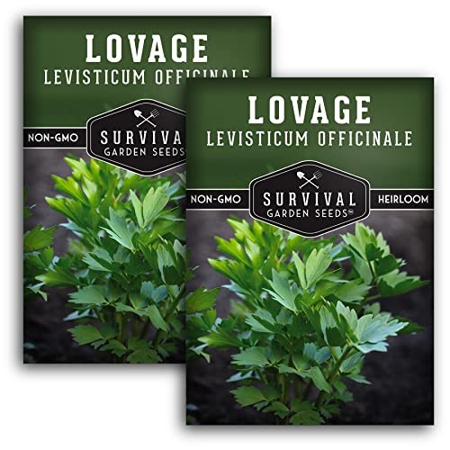 – Lovage Seed for Planting – Packs with Instructions to Plant and Grow 2