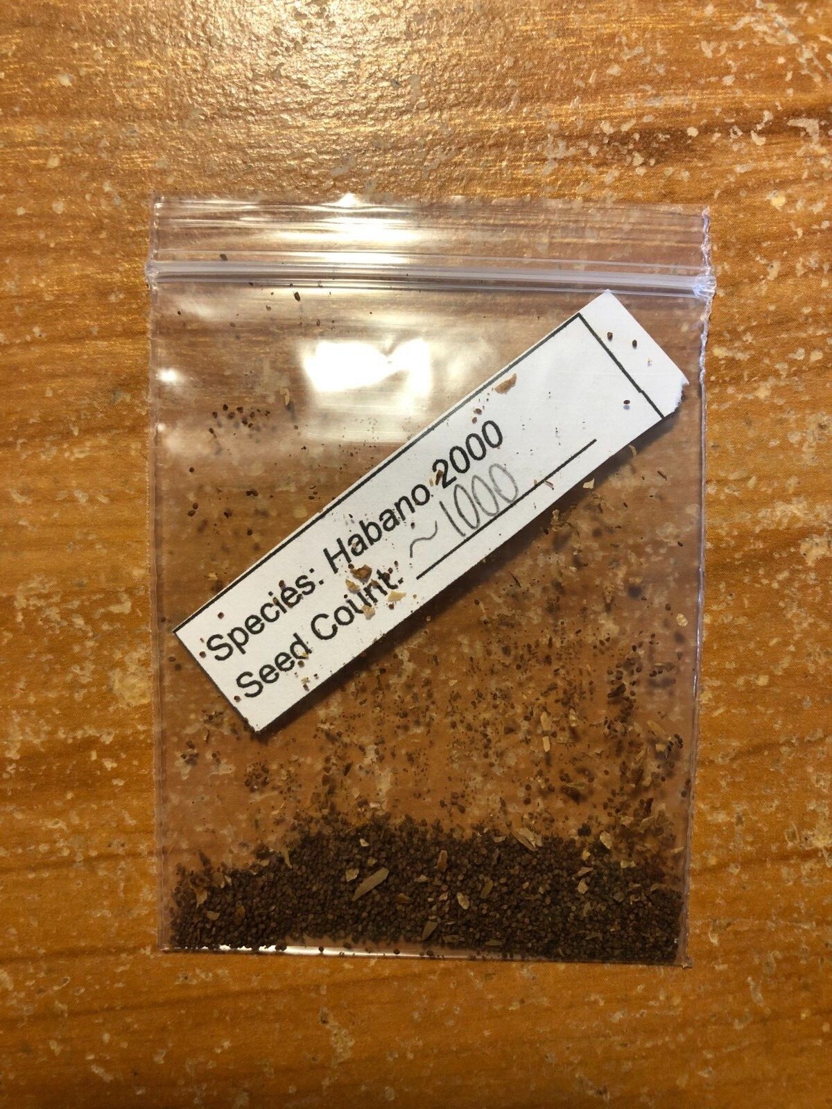 1000 Habano Tobacco Seeds ~ For Cigar Wrapper  + FREE SEEDS!