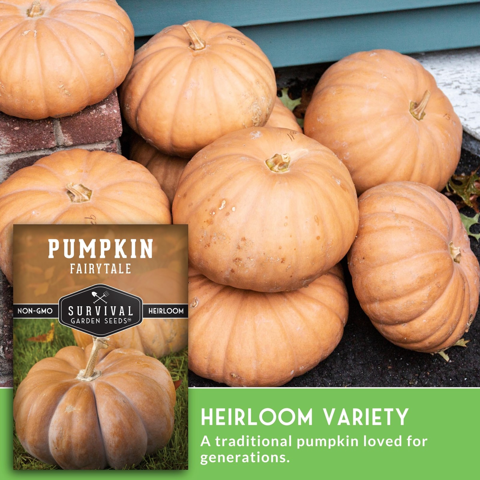 Heirloom Pumpkin Seeds for Planting | Sweet Flavor for Pies, Soups, Décor