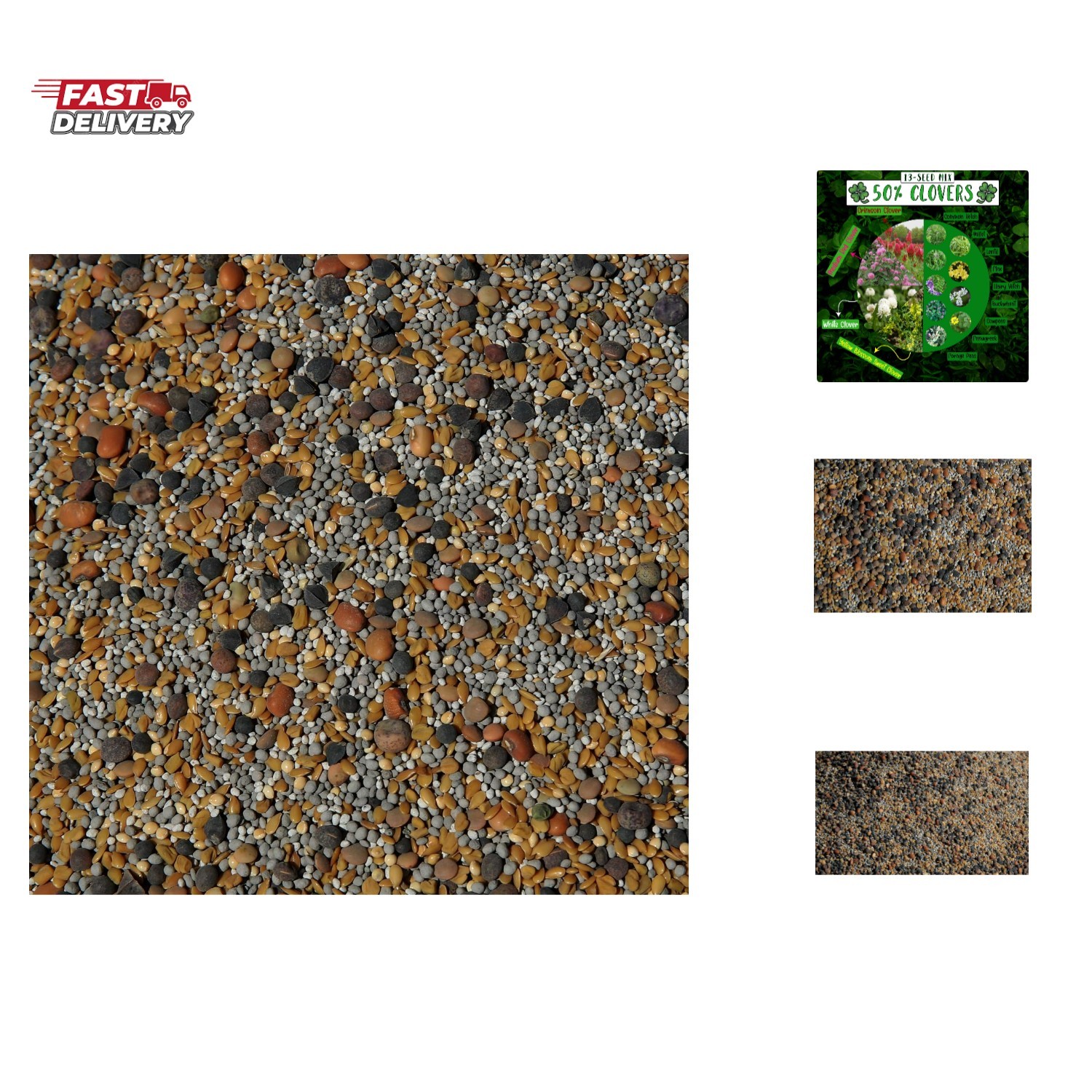 No-Till Cover Crop 13-Seed Mix ½-lb: [50% Clovers Plus Fenugreek, Vetch, Flax…