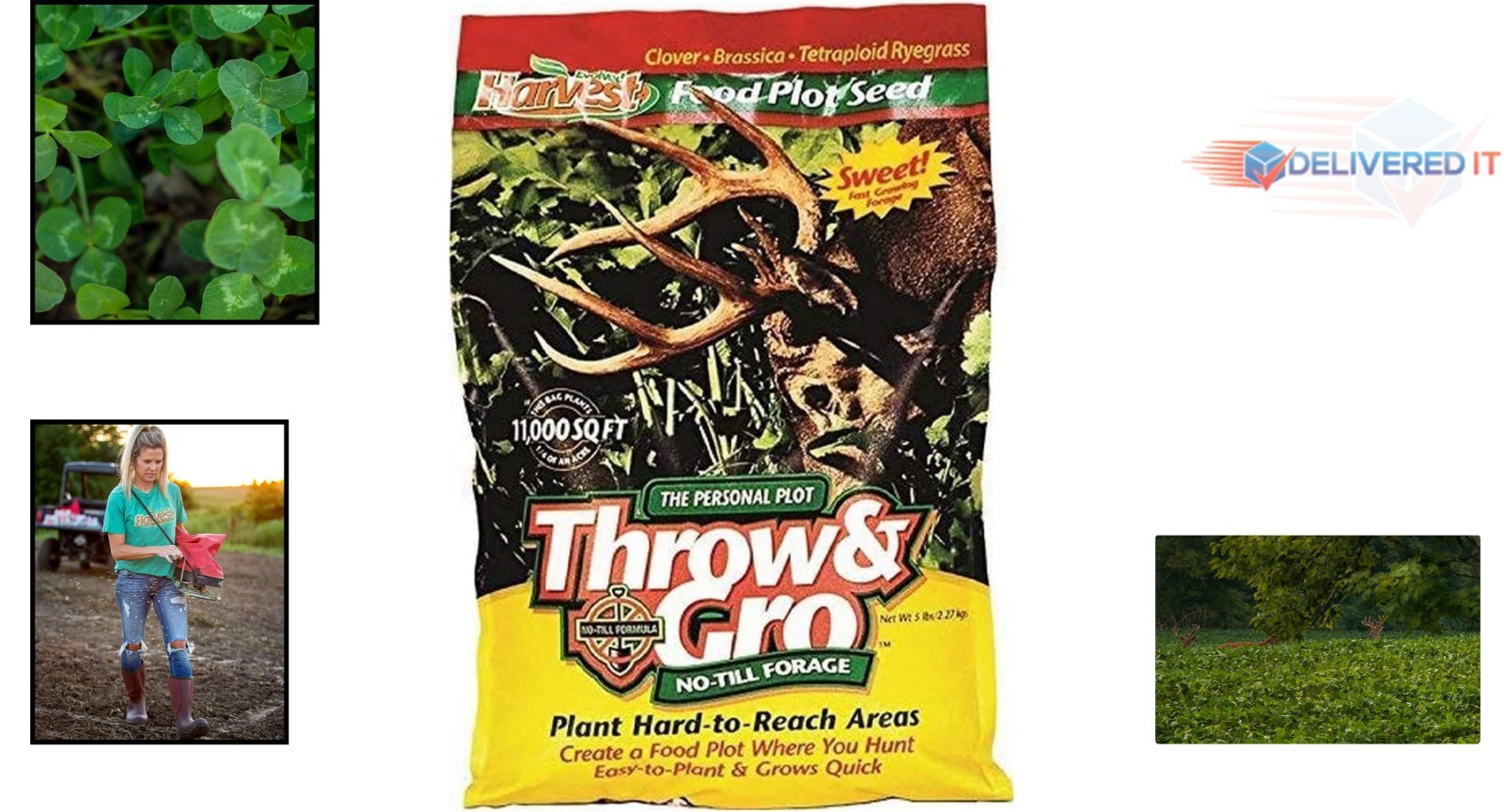 Deer Food Plot Seeds 5 Lb No-Till Forage Grass Clovers Brassica Fast Grow