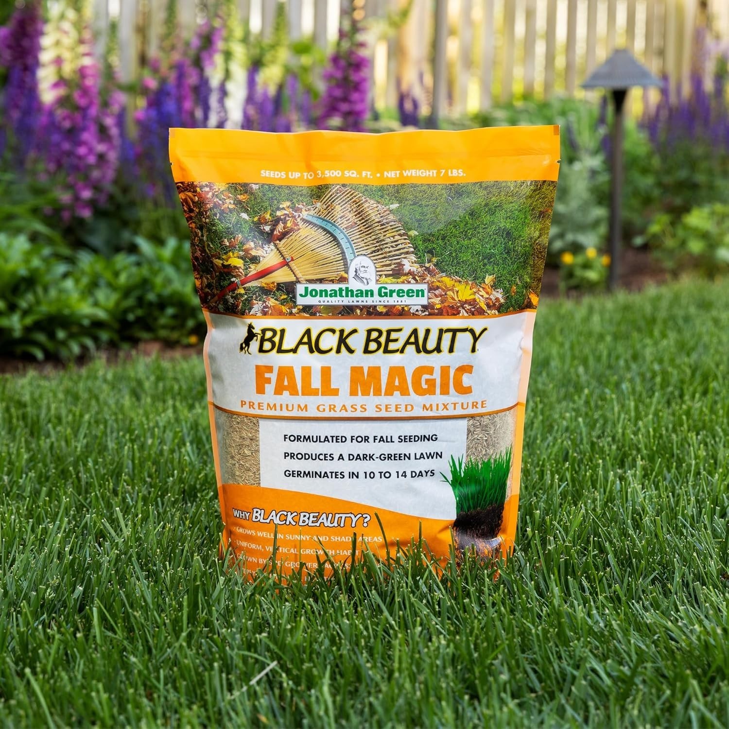 Dark Green Lawn Seed Mix – Cool Season – 3 lb