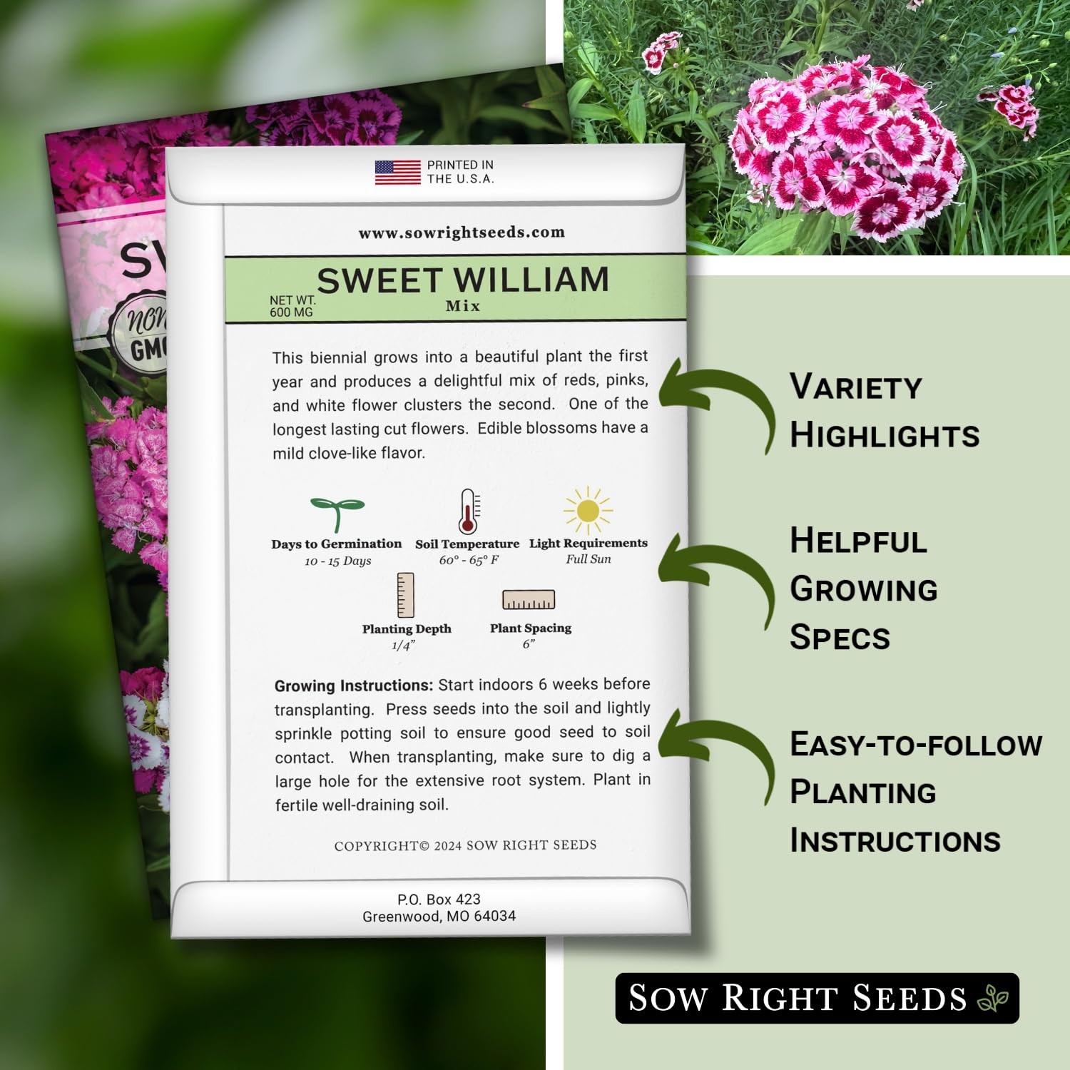 Sweet William Flower Seeds Biennial Non GMO Edible Fragrant Blooms Pollinator Ga