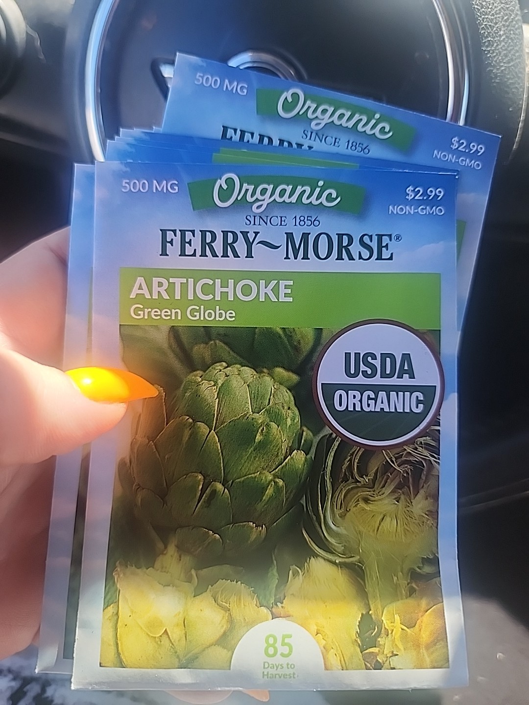 Ferry Morse Seeds Artichoke