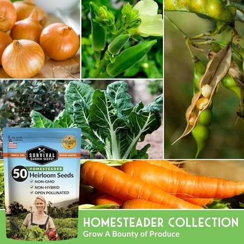Homesteader Seed Vault – 50 Packs of Non-GMO Heirloom Vegetable, Homesteader 50