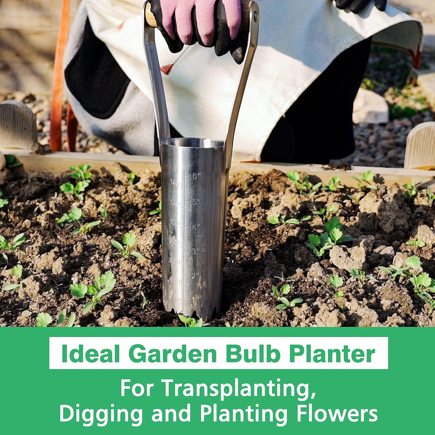 Garden Bulb Planter with 6 Inches Depth Mark, Garden Bulb Transplanter Tool with