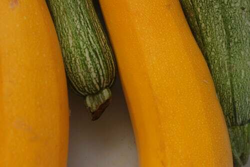 GARDEN SEED VARIETY PACK-5 VEGETABLE TYPES/4 FLOWER TYPES-SEE LISTING-SHIPS FREE