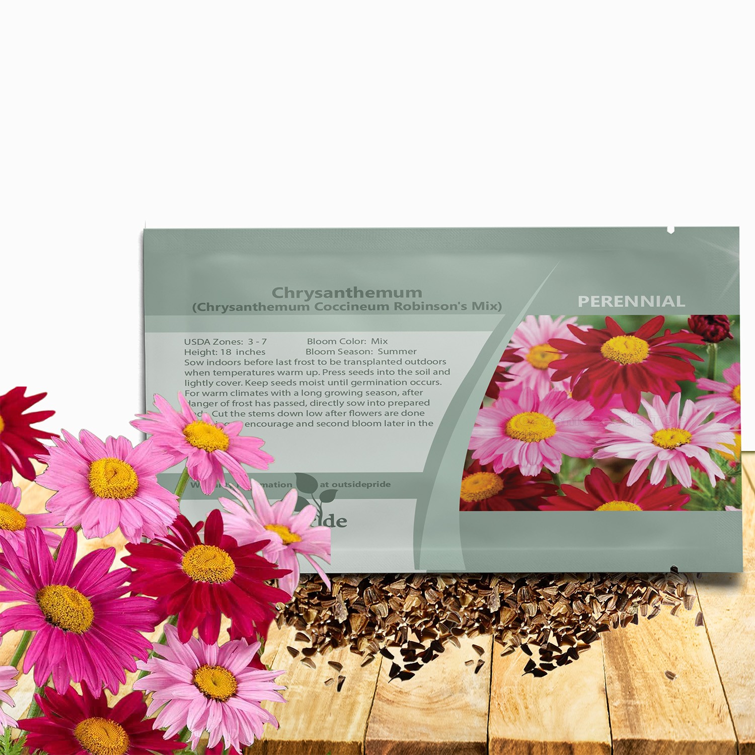 5000 Seeds Chrysanthemum Seed Mix For Planting Outdoors | Pyrethrum