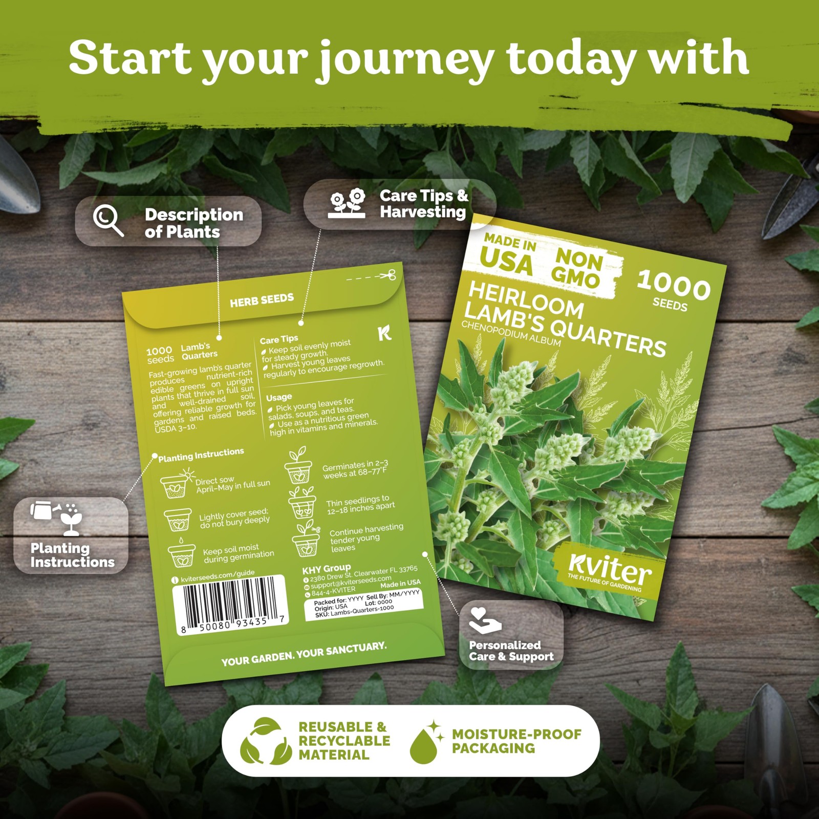 KVITER 1000 Lambs Quarters Seeds (Chenopodium Album)