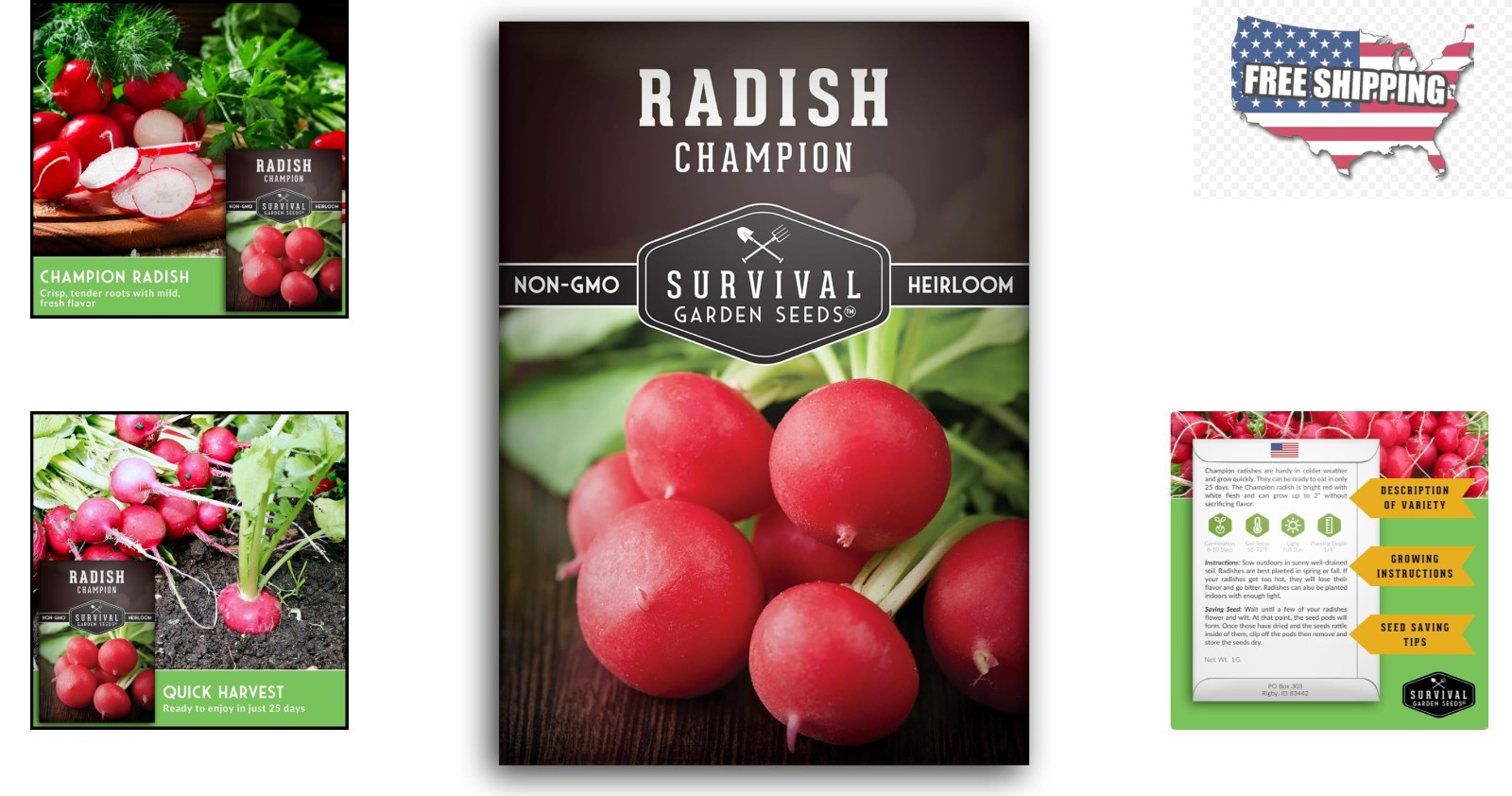 Champion Heirloom Radish Seeds – Fast Growing, Disease Resistant, 1 Pack