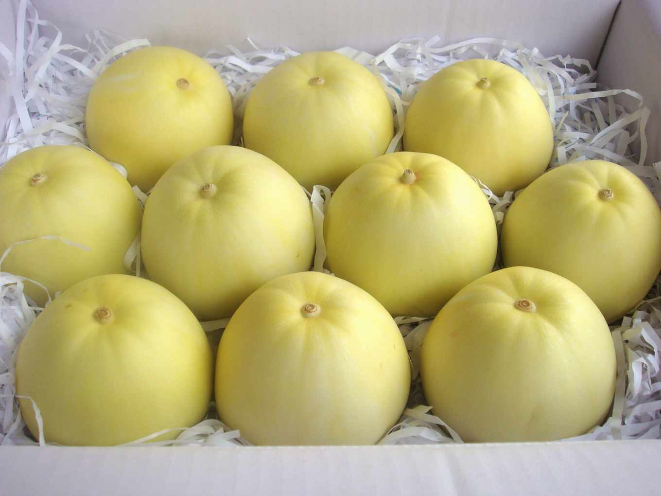 Taiwan Mini Fragrant Honeydew Melon Seeds 25 Seeds 台湾香瓜