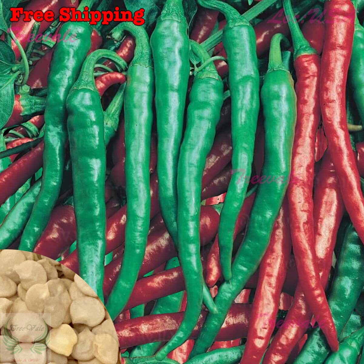 Cayenne Long Slim Red Pepper SEEDS | Long Thin Hot Pepper SEEDS | NON-GMO