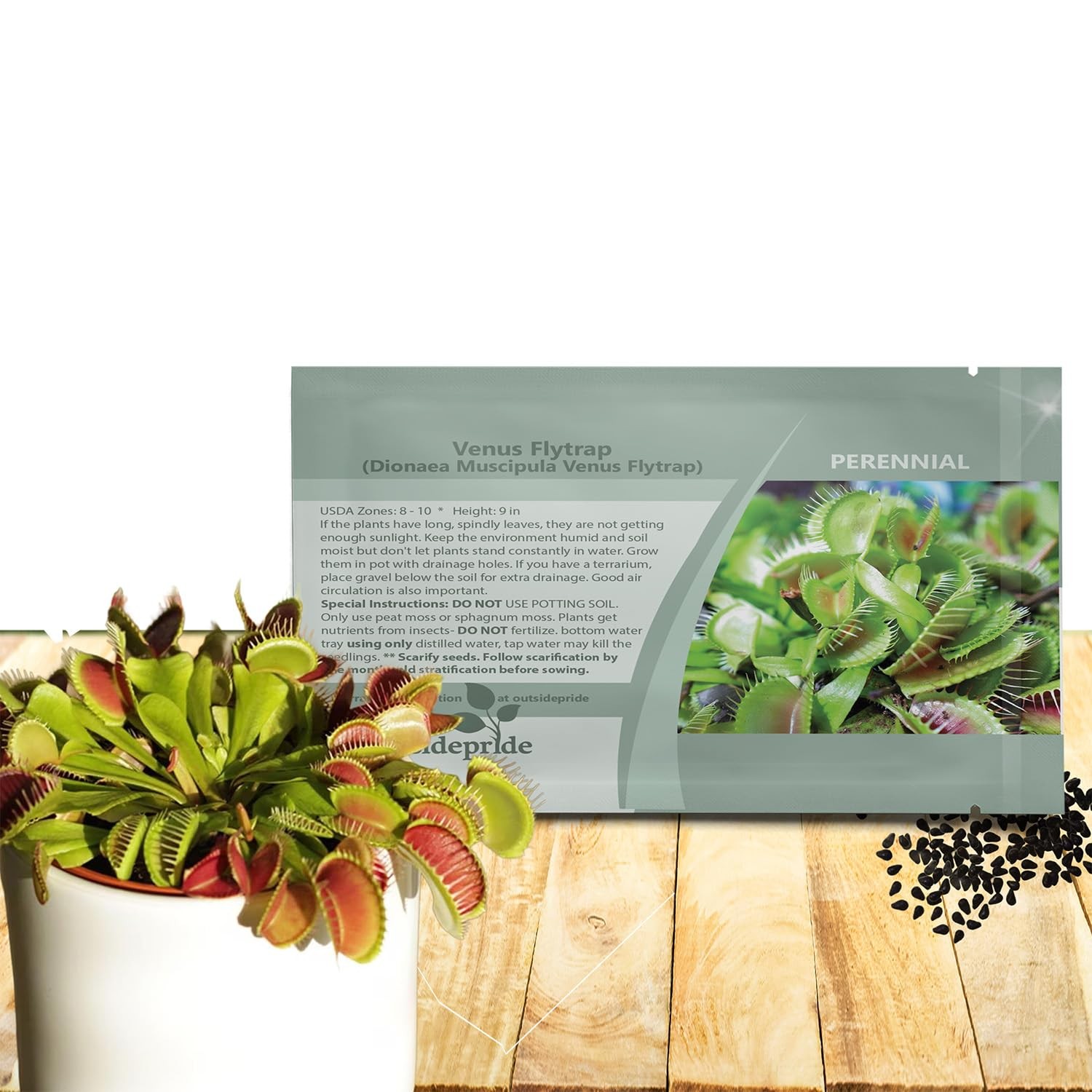 Outsidepride Venus Flytrap Seeds – 10 Pcs Perennial, A) 10 Seeds, Green
