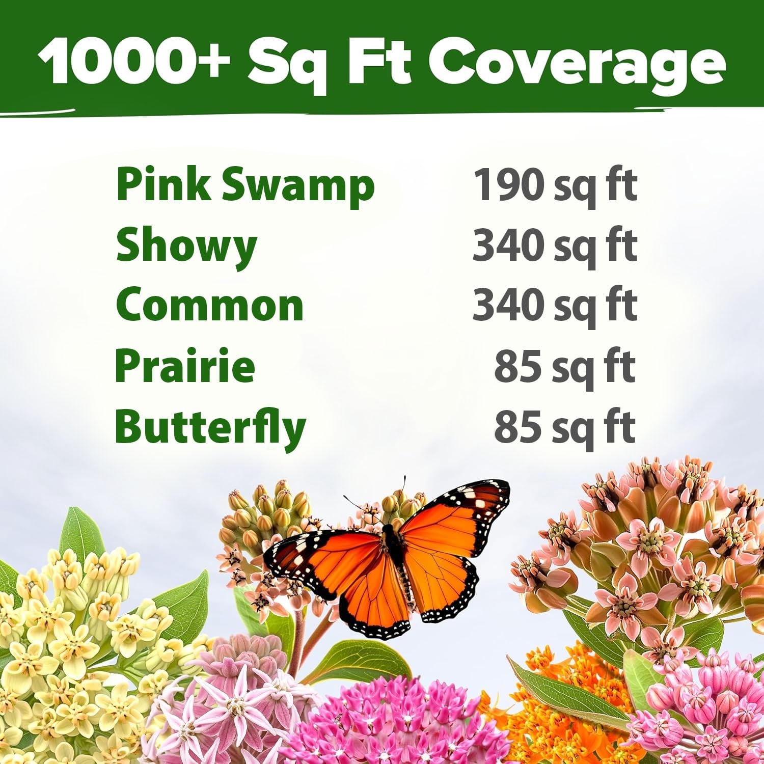 Milkweed Flower Seeds – 500+ Heirloom Perennials for Monarch Habitat, Zones 3-10