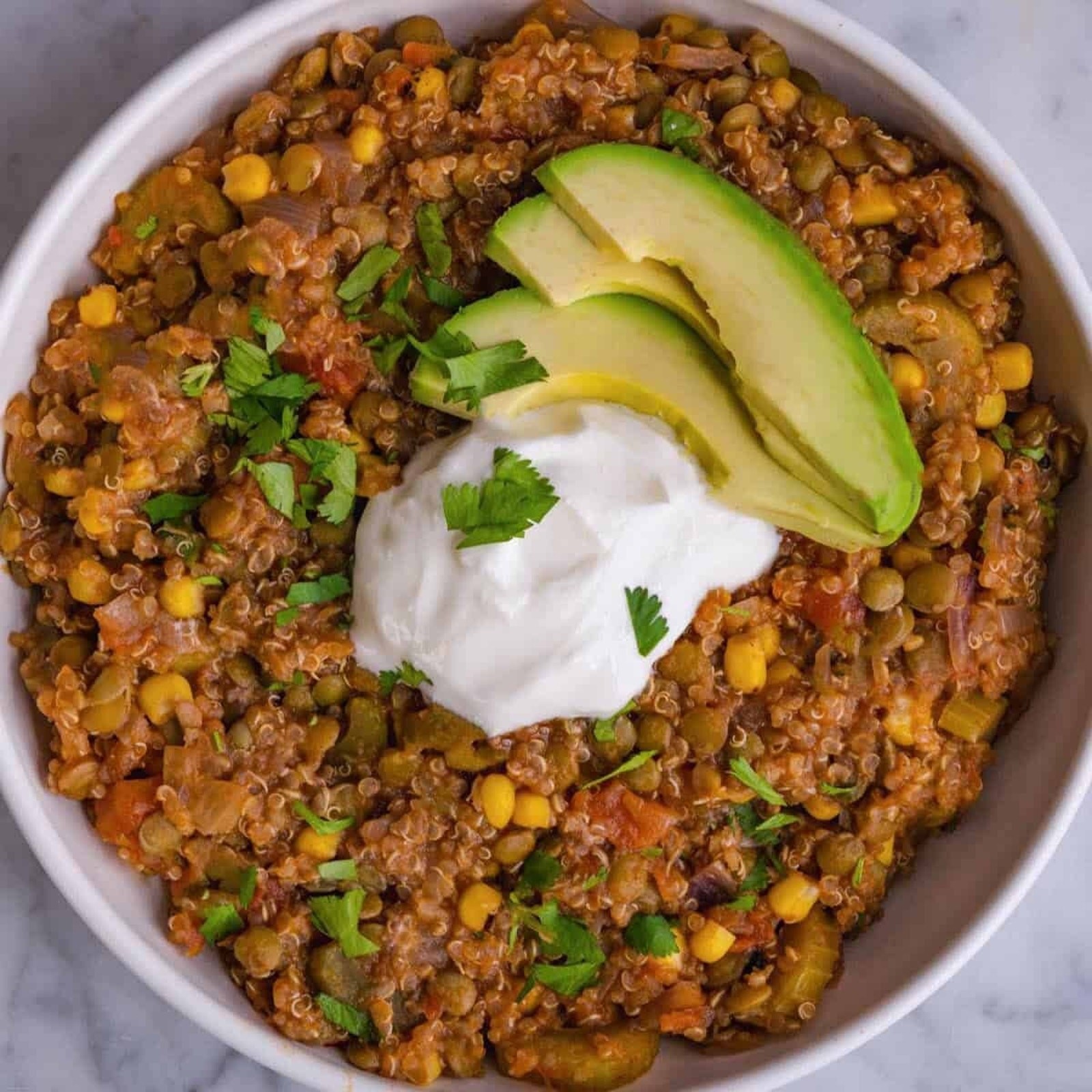 Sprouting Brown Lentils Seeds | Non GMO Heirloom Seed USA Indian Daal