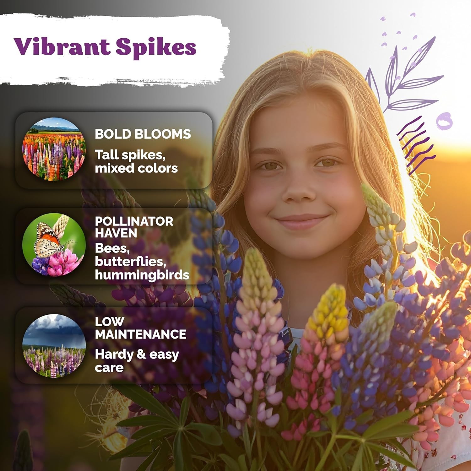 250 Mixed Russell Lupine Seeds for Full Sun Gardens – Easy & Low Maintenance