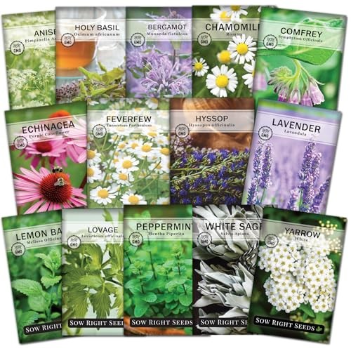 – Large Medicinal Herb Seed Collection for Planting – Chamomile, Echinacea,