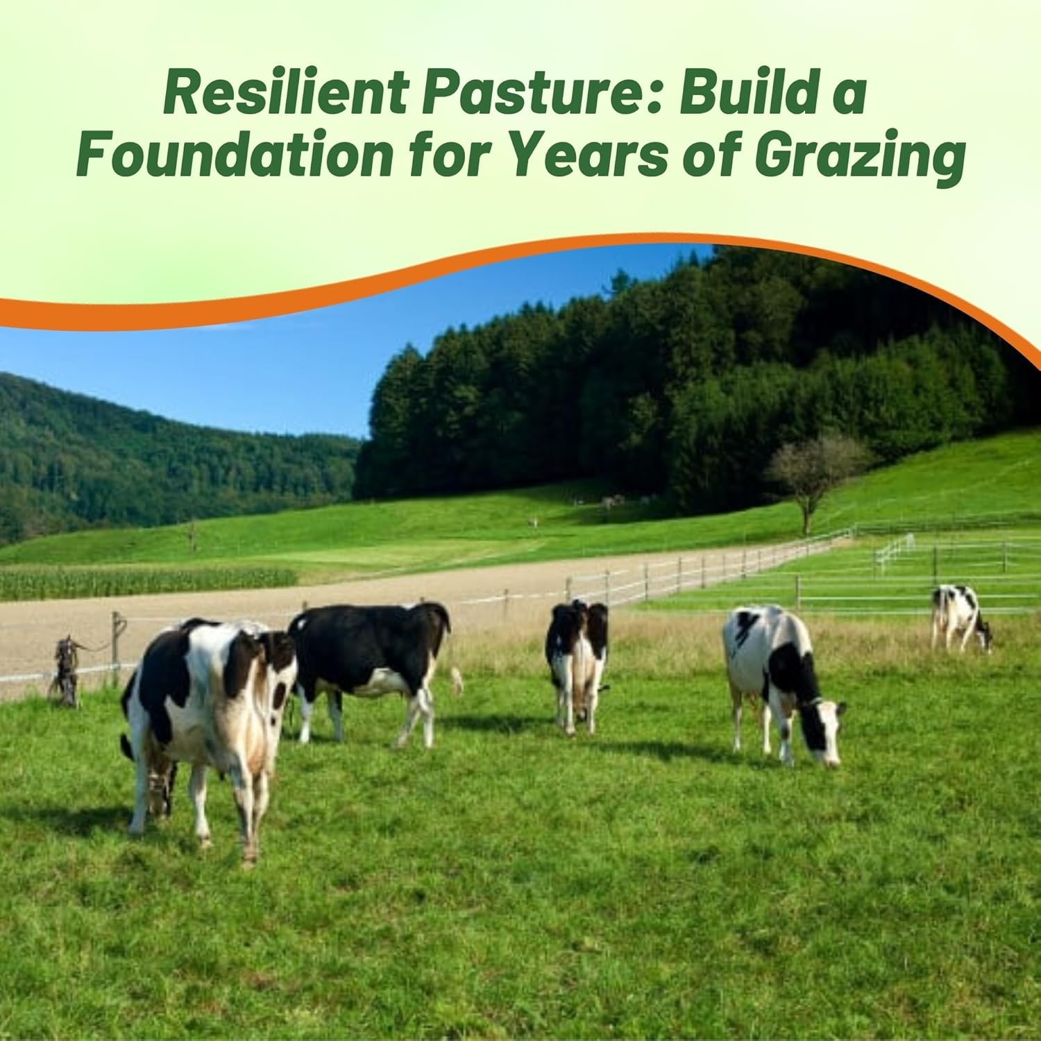 50 LBS All Purpose Pasture Seed Mix