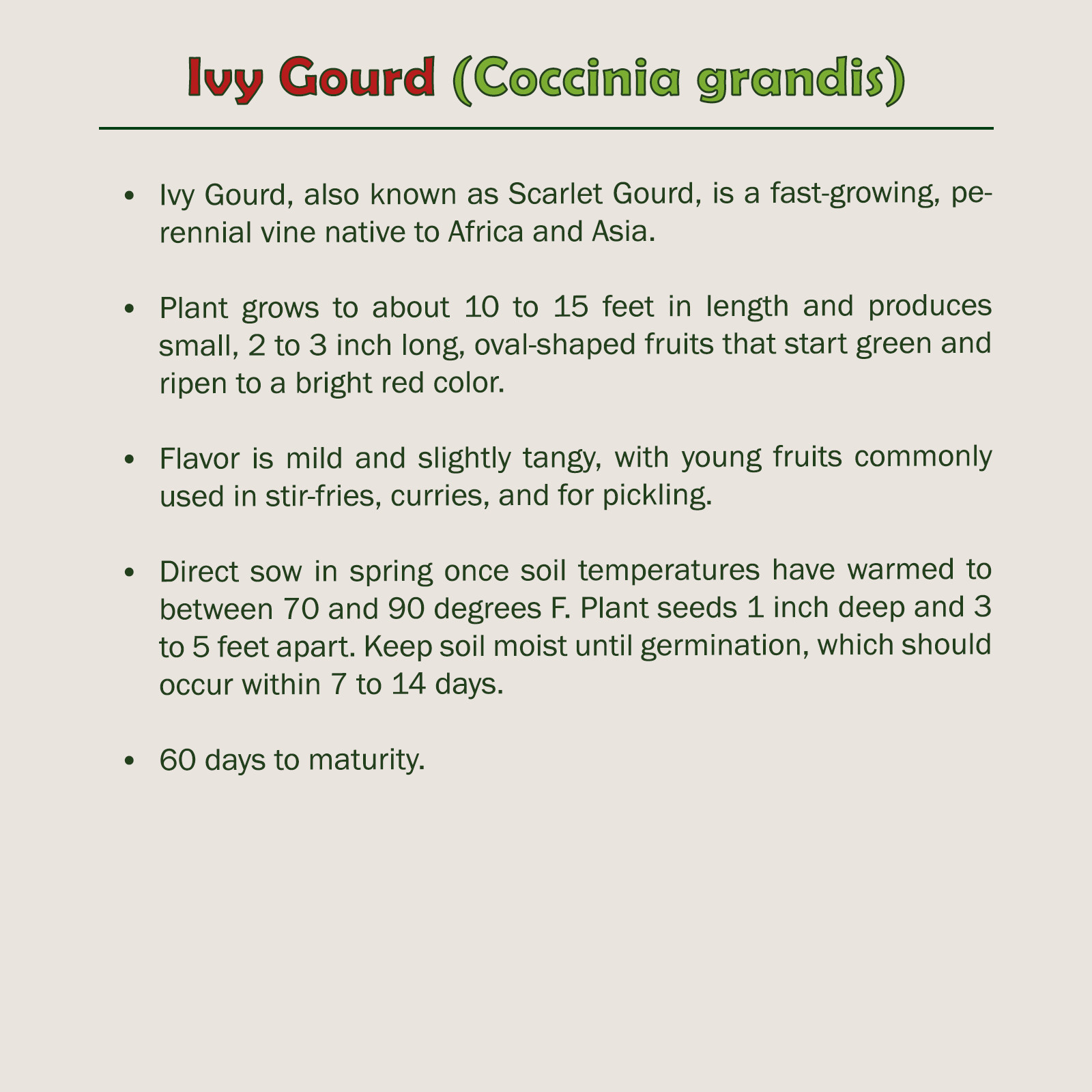 10 Ivy Gourd Seeds, Coccinia grandis, Scarlet Gourd, Non-GMO, Genuine USA