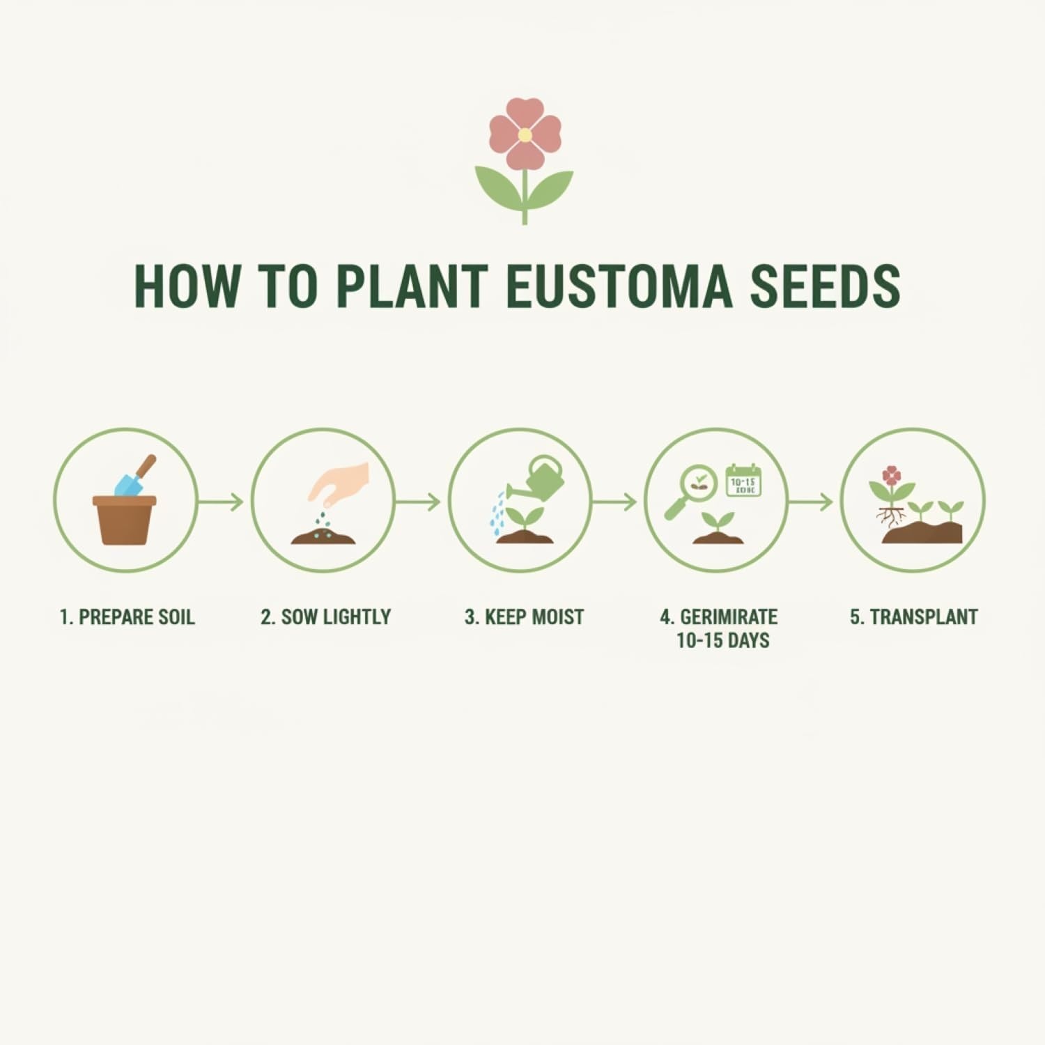 Transform Your Garden with 500 Non-GMO Thornless Eustoma Seeds – Colorful Blooms