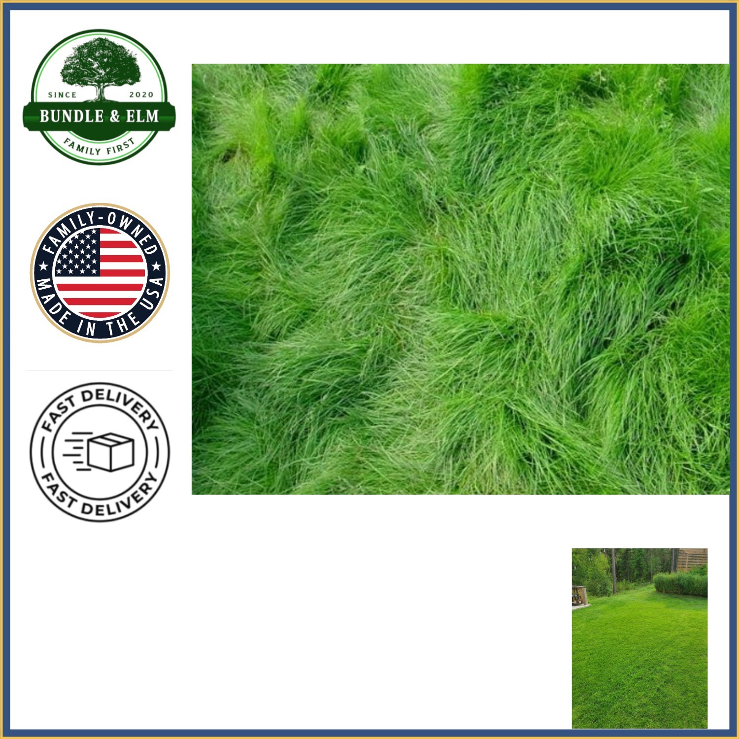 High Quality Creeping Red Fescue Grass Seeds for Lawns and Erosion Control