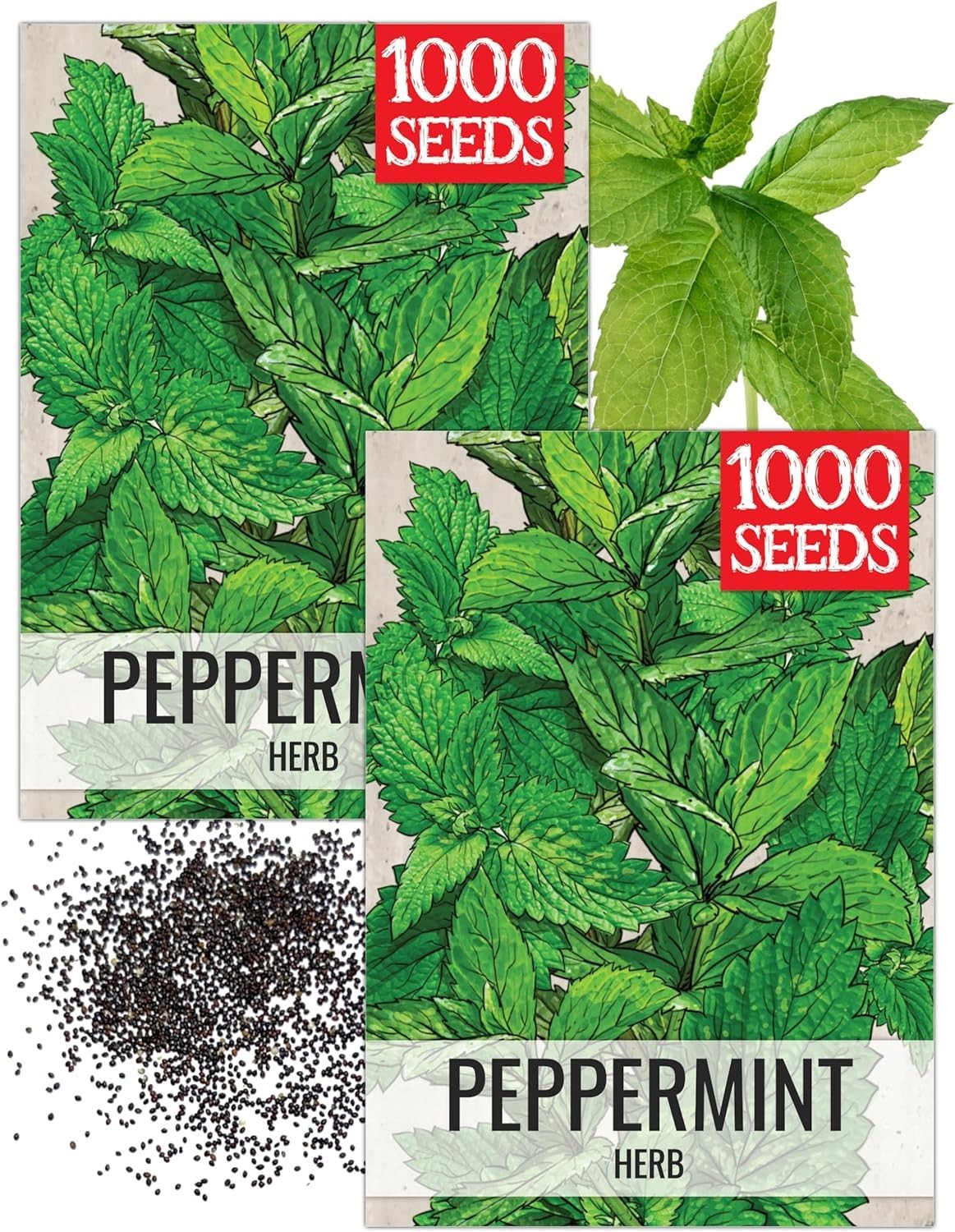 Peppermint Seeds for Planting – Non-GMO Heirloom & Untreated – Medicinal/Culi…