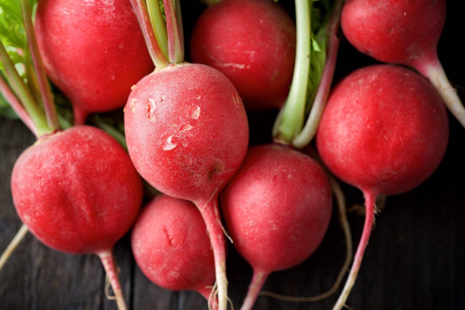 500 CHAMPION RADISH Sweet Scarlet Red Raphanus Sativus Root Vegetable Seeds