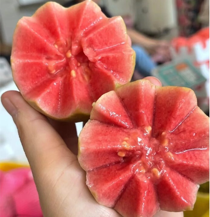 50pcs Tropical Strawberry Guava Organic Pink Guava Seeds – Exotic Flavors