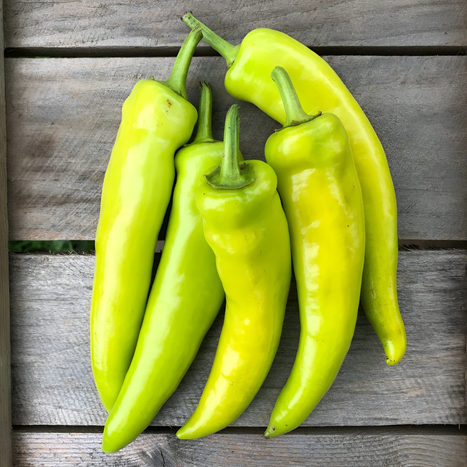 100+ Organic Heirloom Hungarian Wax Pepper Seeds – Mild Sweet Heat! NonGMO
