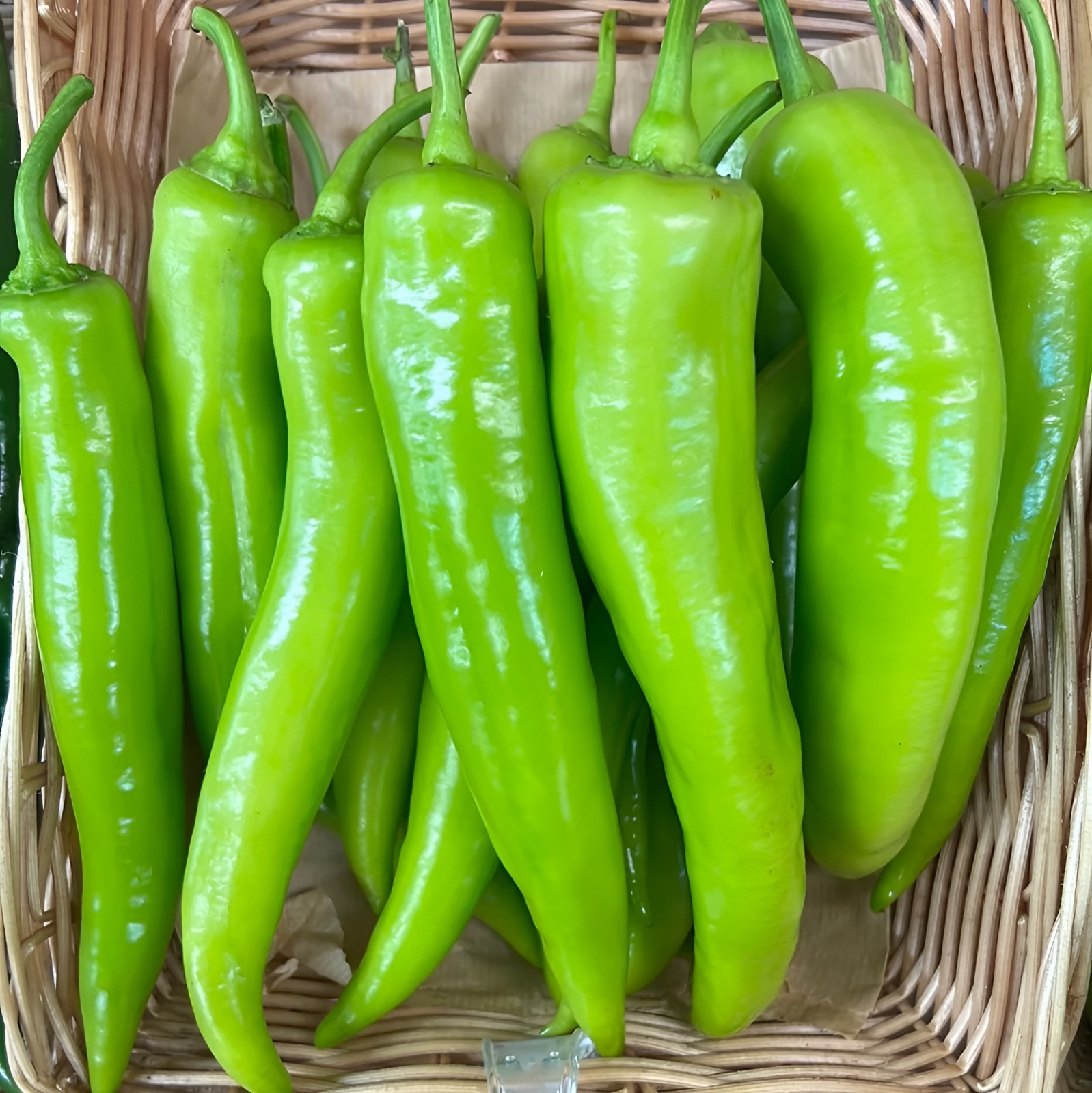 75ct Giant Heirloom Anaheim Chili Pepper Seeds – Super Mild Sweet Pepper 500shu