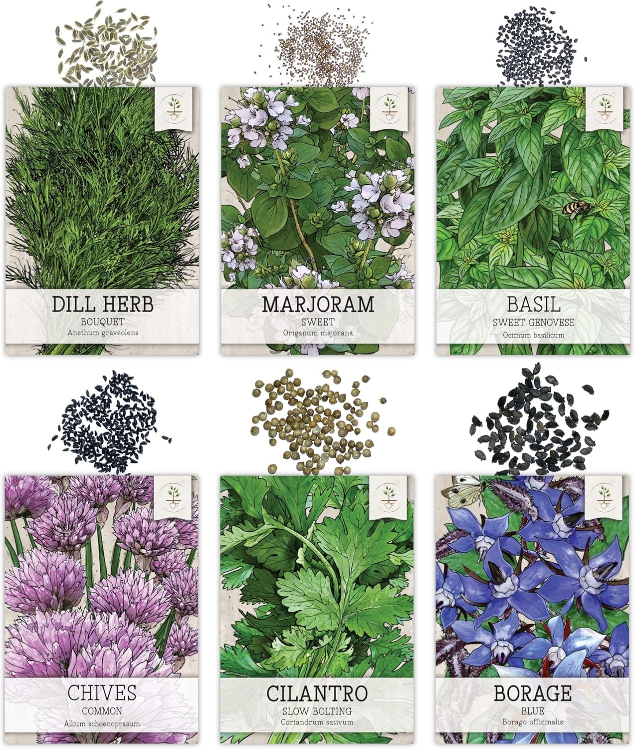 Herb Seeds Variety Pack Culinary Herb Collection (12 Individual Packets for Plan