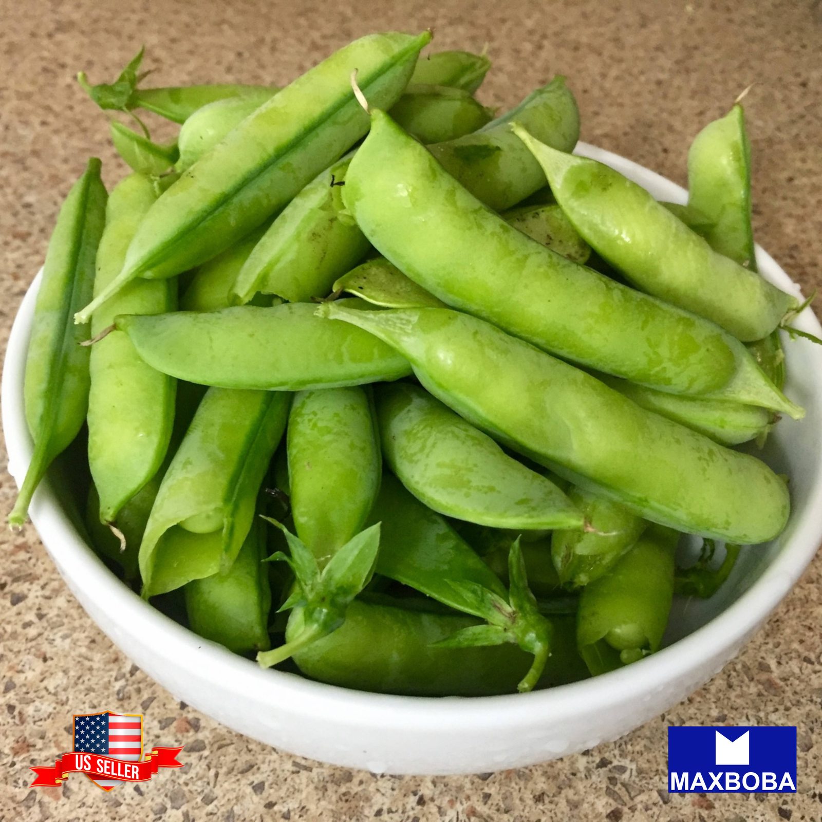 15 Cover Crop Seeds Broad Windsor Fava Bean Non-GMO Heirloom BTGO 75% OFF