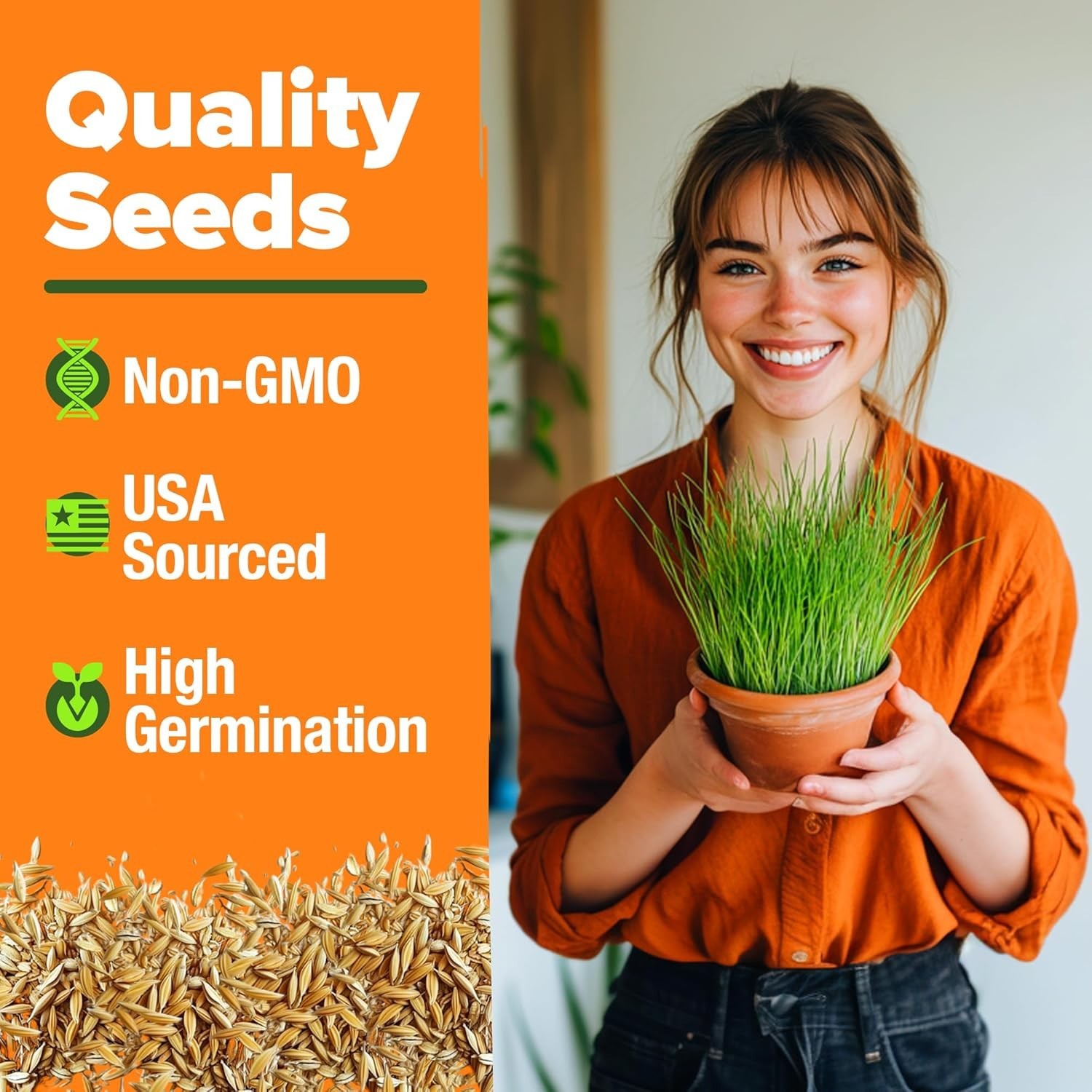 Low Maintenance Organic Cat Grass – 100% Heirloom Oat & Barley Seeds for Pets