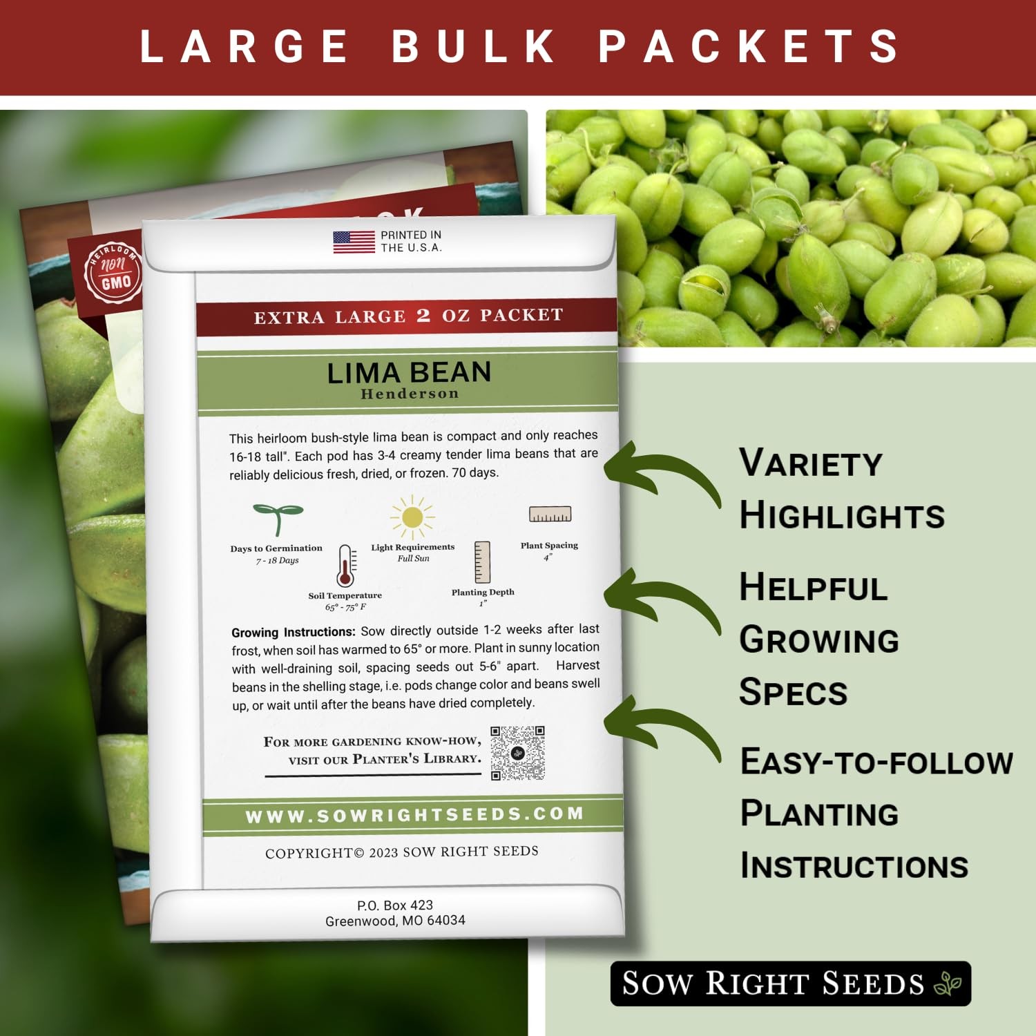 Bulk Bush Lima Bean Seeds NonGMO Heirloom for Vegetable Garden Planting