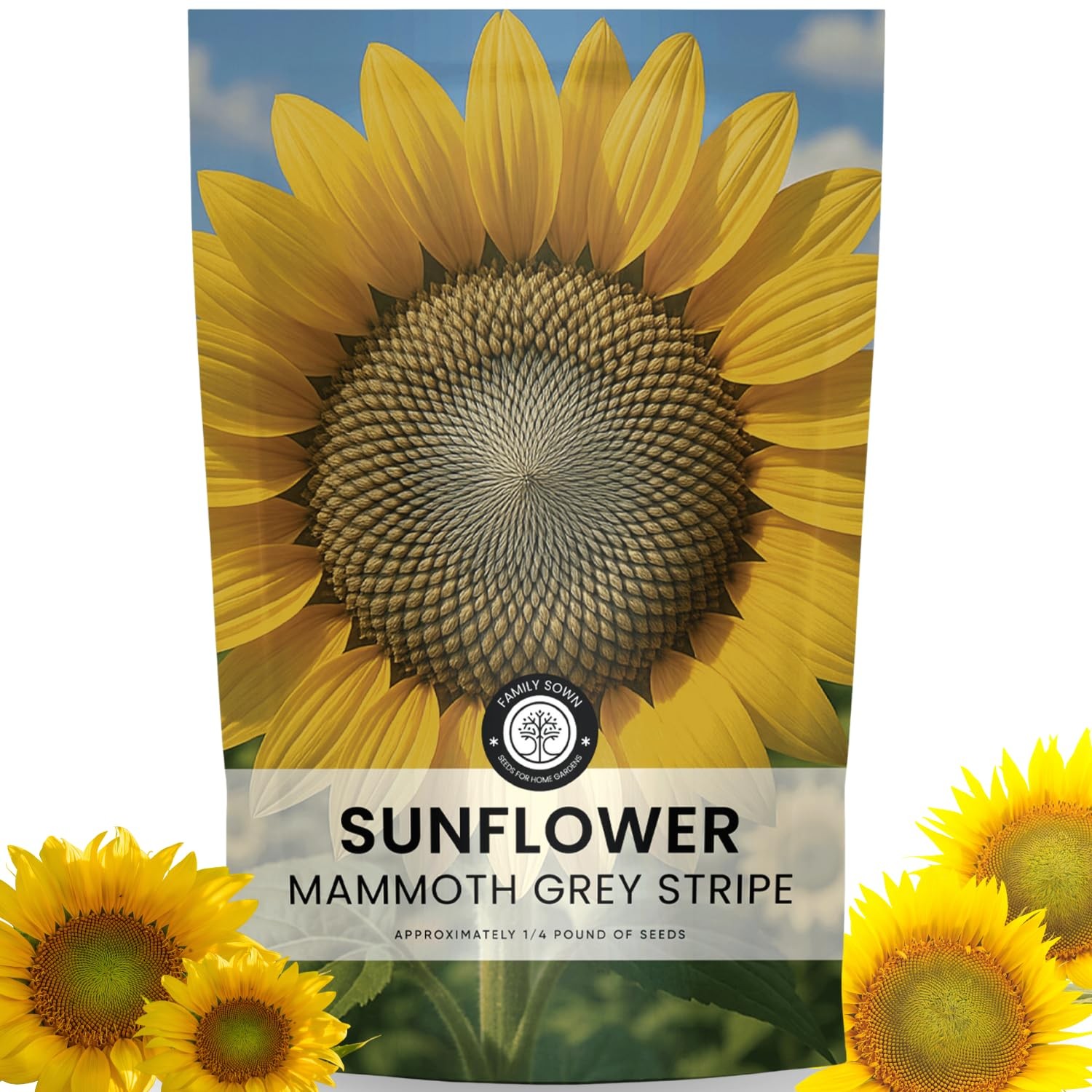 Large Grey Stripe Sunflower Seeds – 1,000 Count for Planting – 4 Ounce Packet