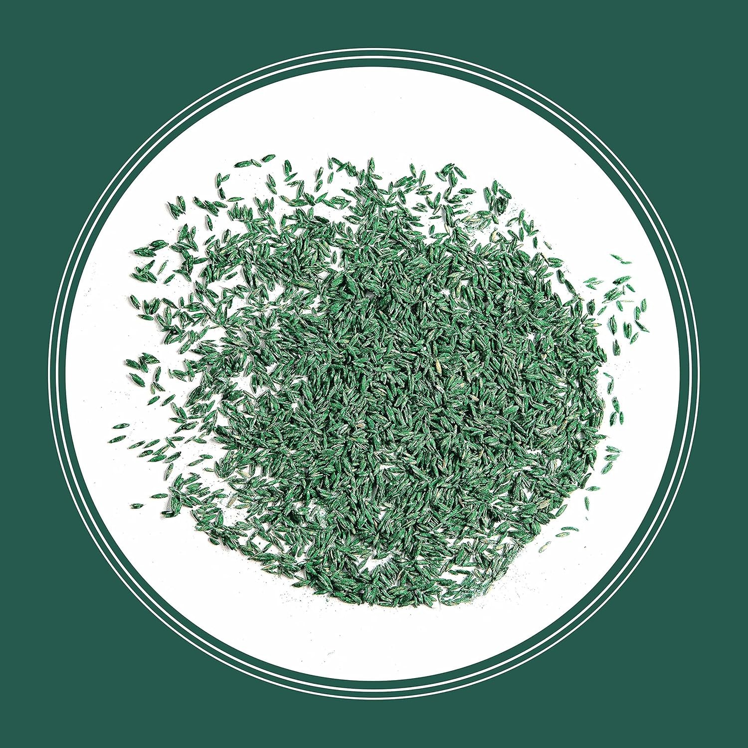 Smart Seed Sun and Shade Tall Fescue Grass Seed Mix for Southern Lawns 7 Lb