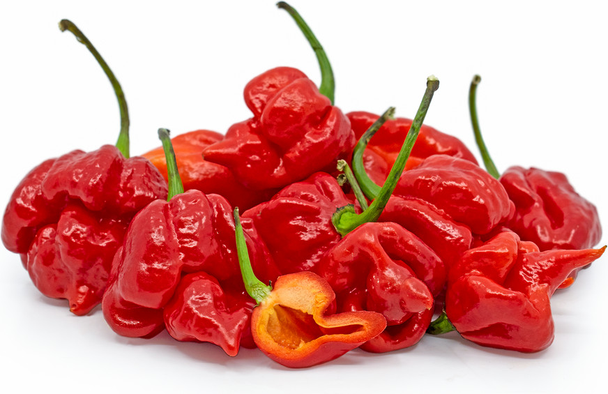 trinidad scorpion seeds. Super Hot! 20 Seeds. Free Shipping!