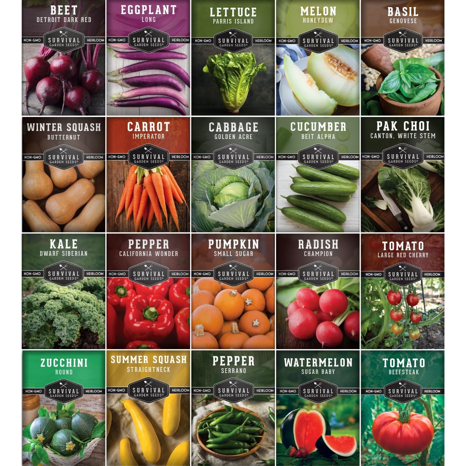 Heirloom Vegetable Garden Starter Kit – 20 Non-GMO Seeds for Beginners | Indoor/