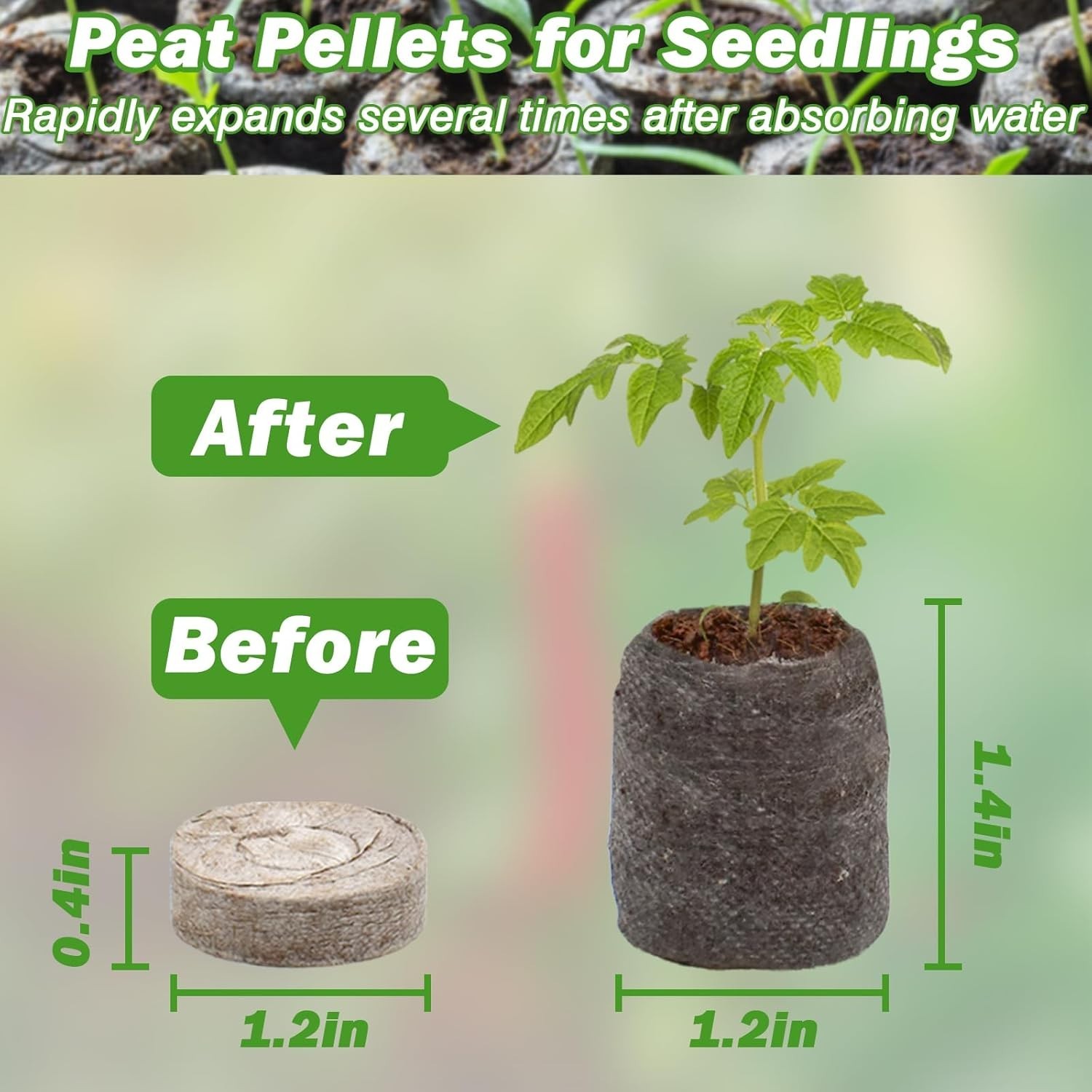 55-Count Compressed Peat Seedlings Plugs – Perfect for Herbs, Flowers & Veggies