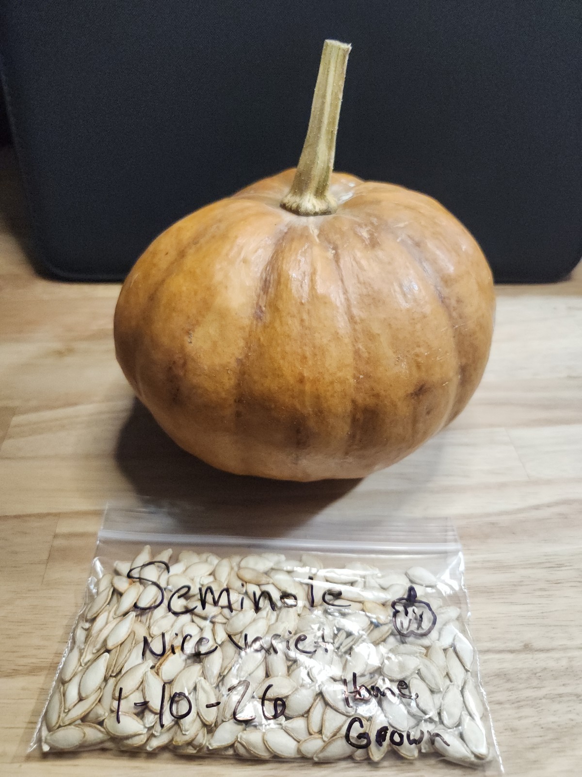 10 Seminole Pumpkin Seeds – Heirloom — Food Security — NON GMO Florida Grown