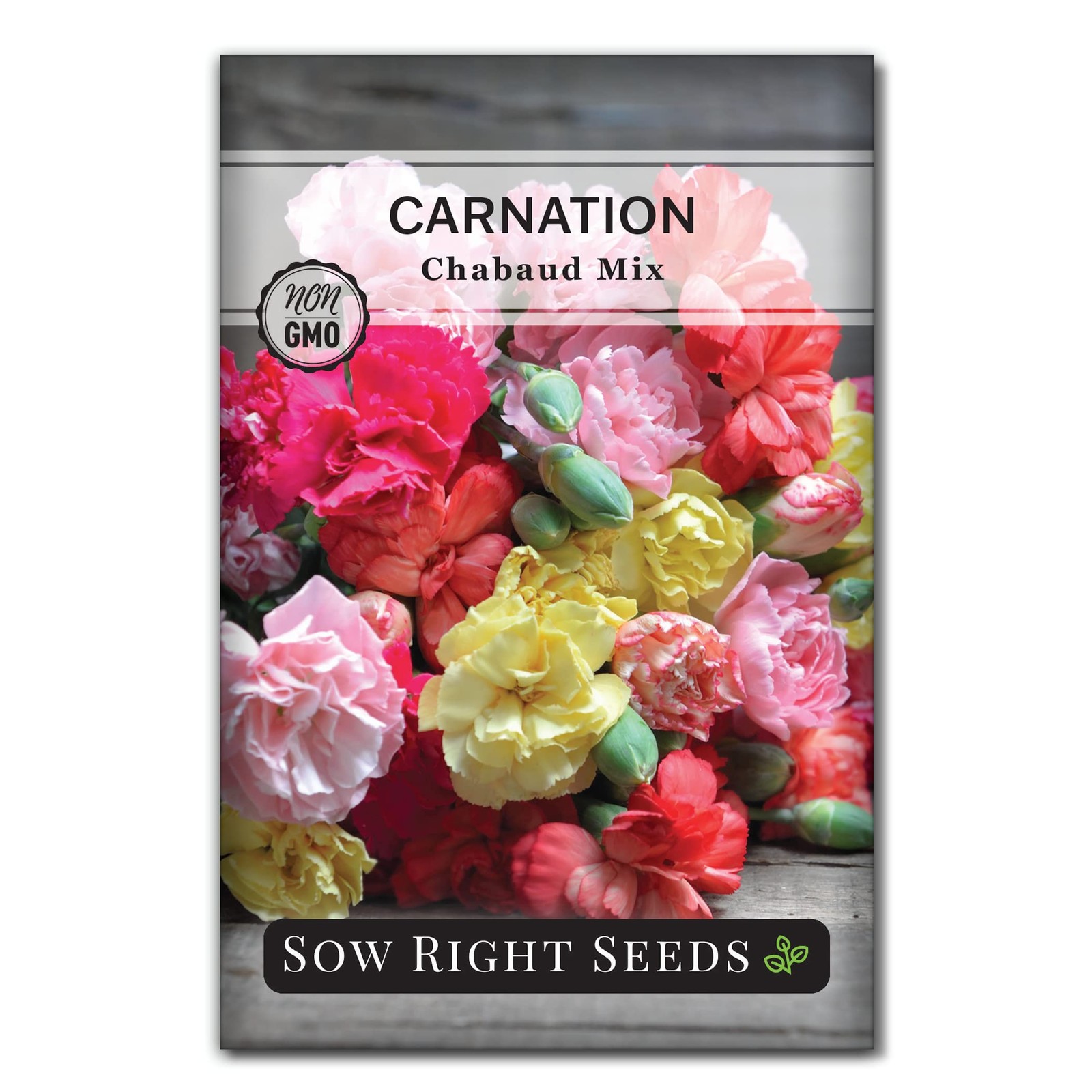 – Chabaud Mix Carnation Seeds for Planting – Non-GMO Heirloom Dianthus Variet…