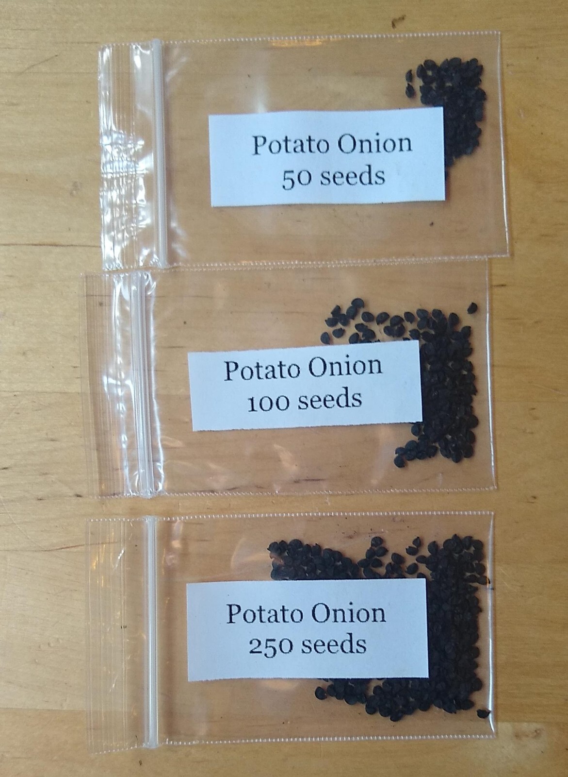 Potato Onion seeds ~ Open Pollinated Heirloom Multiplier Onions