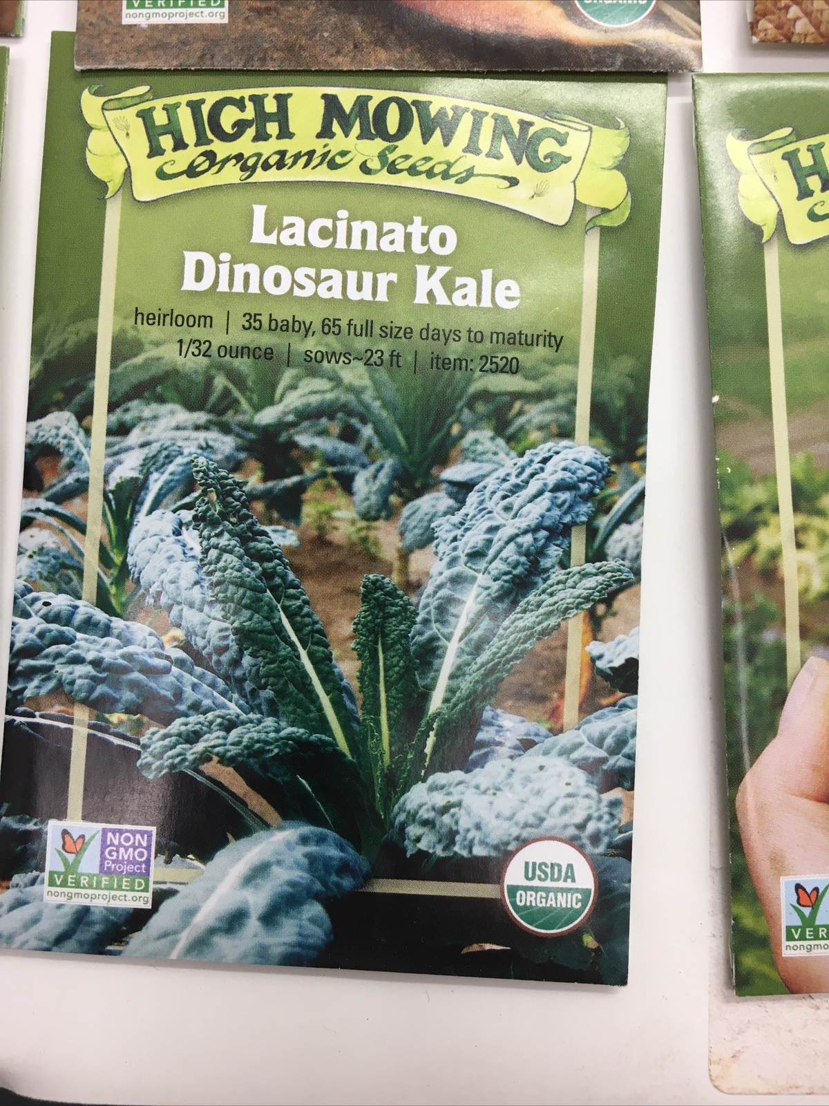 10 Packets Of Seeds Assorted