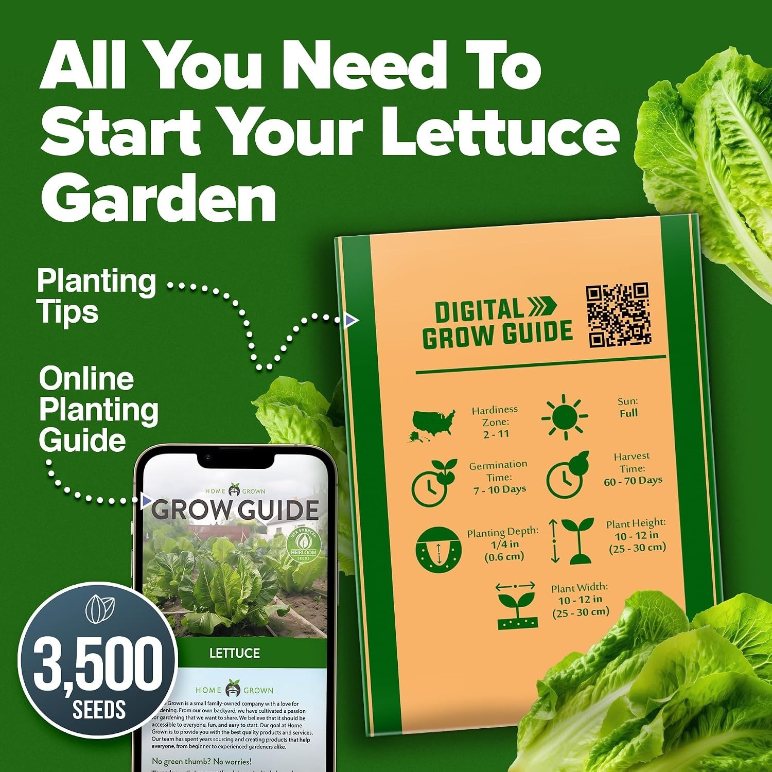 Parris Island Romaine Lettuce Seeds – Heirloom, Non-GMO, High Germination, Cr…