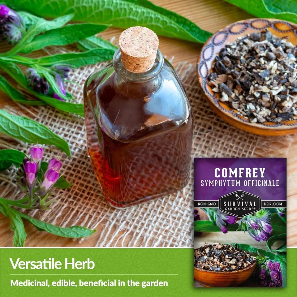 Comfrey Seeds for Planting – Symphytum Officinale Medicinal Perennial Herb for C