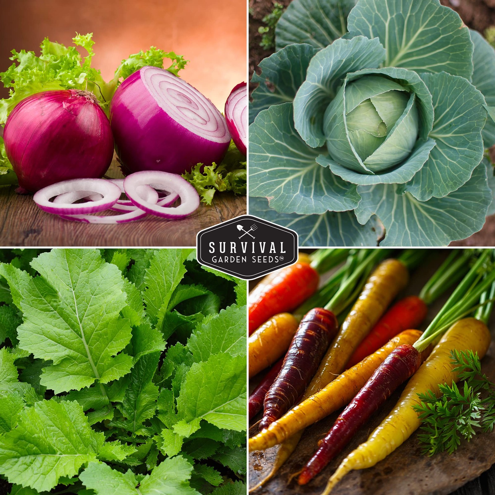 Spring Vegetable Seed Collection 10 Heirloom Non-GMO Seeds – Cool Weather Garden