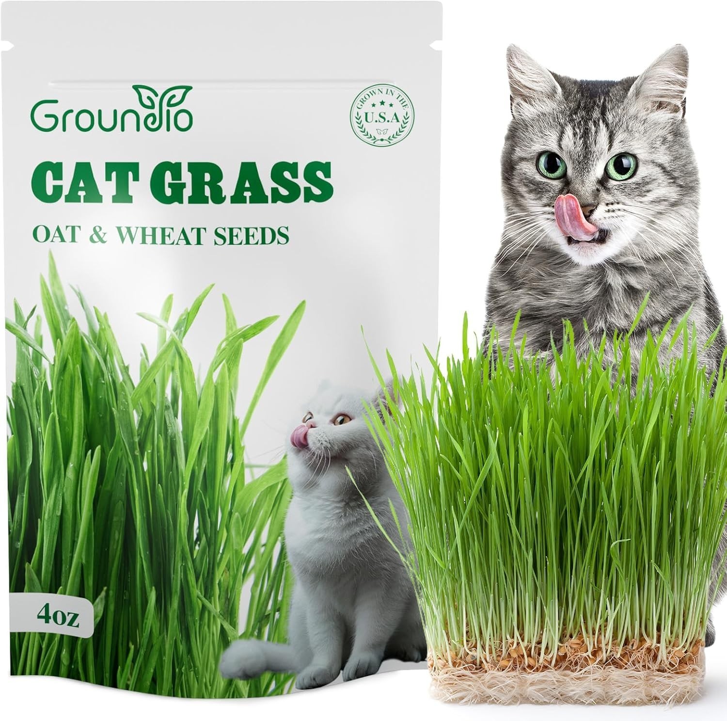 Cat Grass Seeds, 4 Oz, Non-GMO Wheat Cat Grass Seeeds & Oat Seeds Mix, High G…